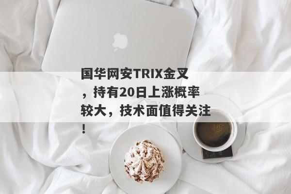 国华网安TRIX金叉，持有20日上涨概率较大，技术面值得关注！