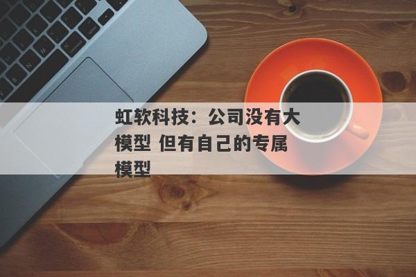 虹软科技：公司没有大模型 但有自己的专属模型