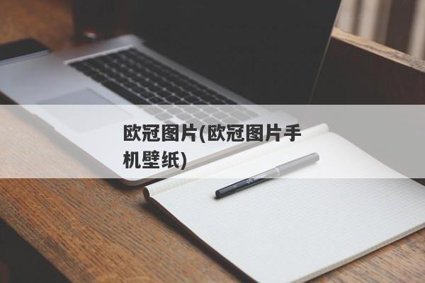 欧冠图片(欧冠图片手机壁纸)