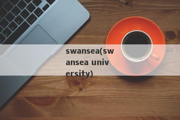 swansea(swansea university)