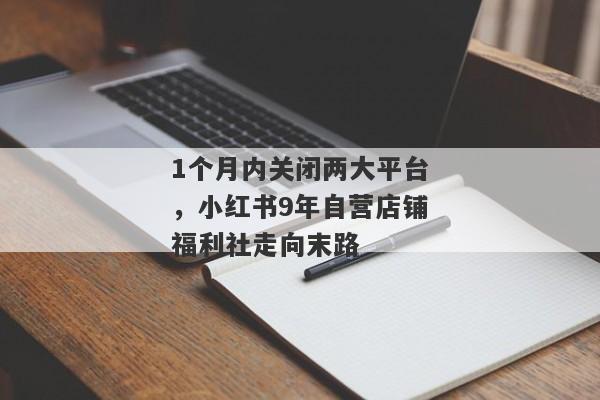 1个月内关闭两大平台，小红书9年自营店铺福利社走向末路