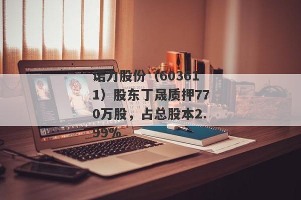 诺力股份（603611）股东丁晟质押770万股，占总股本2.99%