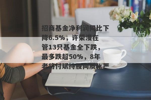 招商基金净利润同比下降6.5%，许荣漫在管13只基金全下跌，最多跌超50%，8年老将付斌持股同质化严重