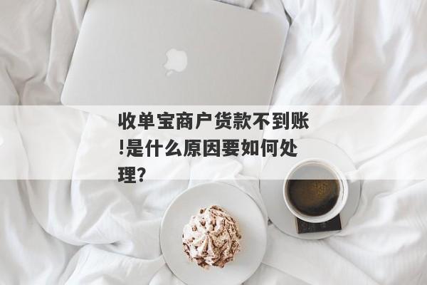 收单宝商户货款不到账!是什么原因要如何处理？