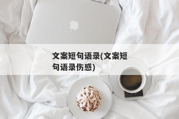 文案短句语录(文案短句语录伤感)