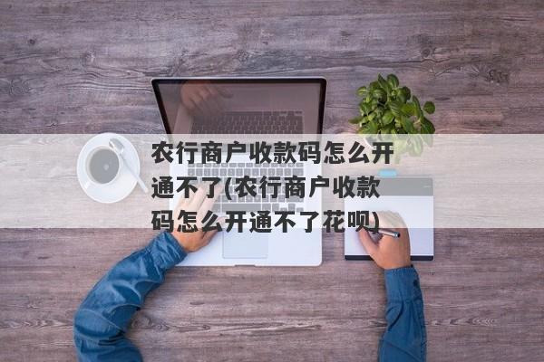 农行商户收款码怎么开通不了(农行商户收款码怎么开通不了花呗)