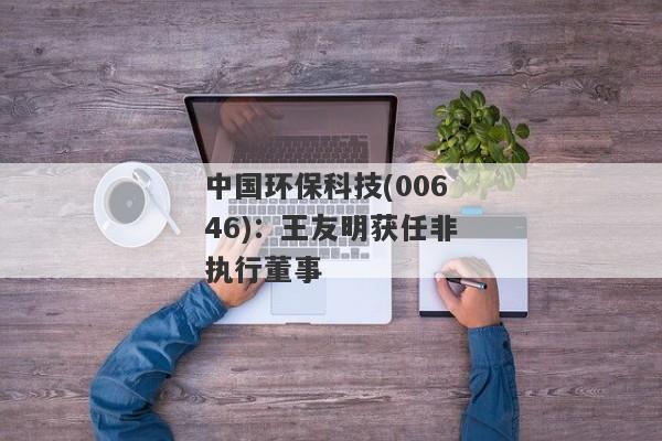 中国环保科技(00646)：王友明获任非执行董事