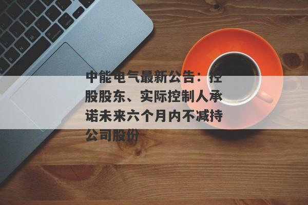 中能电气最新公告：控股股东、实际控制人承诺未来六个月内不减持公司股份