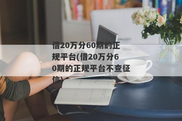 借20万分60期的正规平台(借20万分60期的正规平台不查征信)