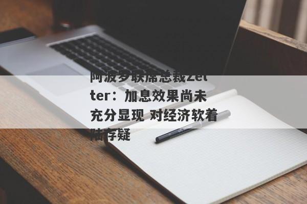 阿波罗联席总裁Zelter：加息效果尚未充分显现 对经济软着陆存疑