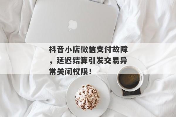 抖音小店微信支付故障，延迟结算引发交易异常关闭权限！