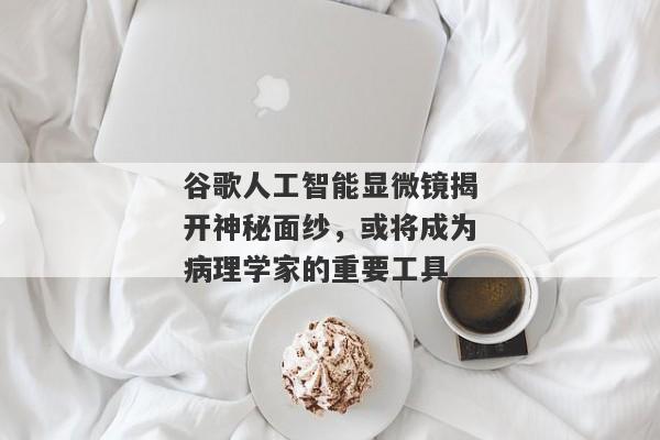 谷歌人工智能显微镜揭开神秘面纱，或将成为病理学家的重要工具