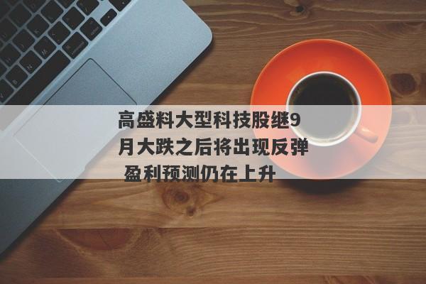 高盛料大型科技股继9月大跌之后将出现反弹 盈利预测仍在上升