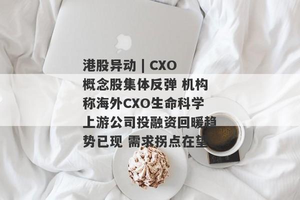 港股异动 | CXO概念股集体反弹 机构称海外CXO生命科学上游公司投融资回暖趋势已现 需求拐点在望