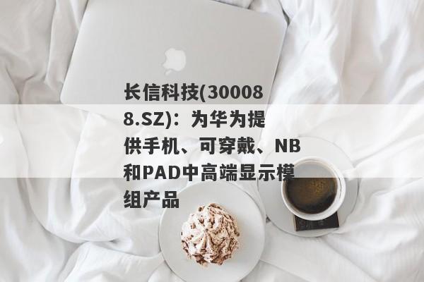 长信科技(300088.SZ)：为华为提供手机、可穿戴、NB和PAD中高端显示模组产品