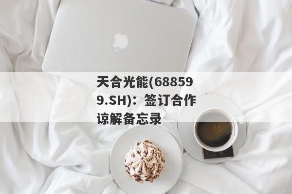 天合光能(688599.SH)：签订合作谅解备忘录