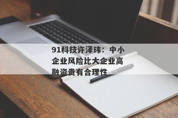 91科技许泽玮：中小企业风险比大企业高 融资贵有合理性