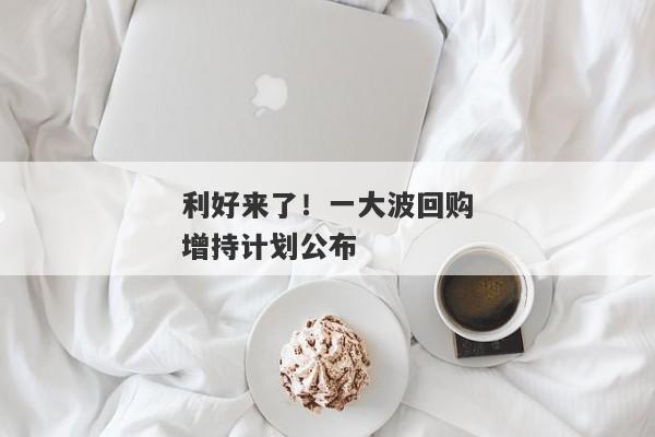 利好来了！一大波回购增持计划公布