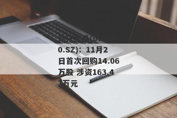 劲仔食品(003000.SZ)：11月2日首次回购14.06万股 涉资163.47万元