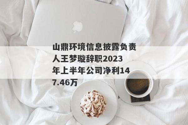 山鼎环境信息披露负责人王梦璇辞职2023年上半年公司净利147.46万