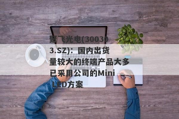 聚飞光电(300303.SZ)：国内出货量较大的终端产品大多已采用公司的Mini LED方案