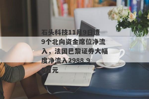 石头科技11月9日遭9个北向资金席位净流入，法国巴黎证券大幅度净流入2988.96万元