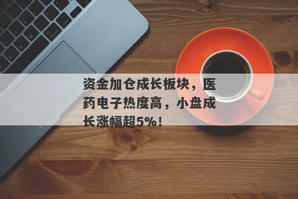 资金加仓成长板块，医药电子热度高，小盘成长涨幅超5%！