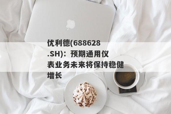 优利德(688628.SH)：预期通用仪表业务未来将保持稳健增长