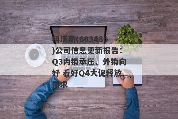 科沃斯(603486)公司信息更新报告：Q3内销承压、外销向好 看好Q4大促释放需求