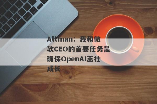 Altman：我和微软CEO的首要任务是确保OpenAI茁壮成长