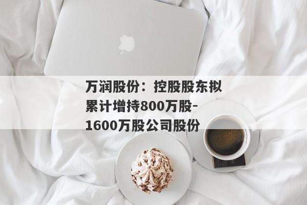 万润股份：控股股东拟累计增持800万股-1600万股公司股份