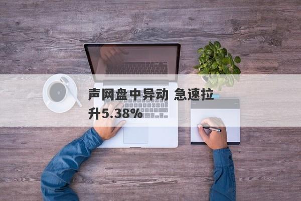 声网盘中异动 急速拉升5.38%