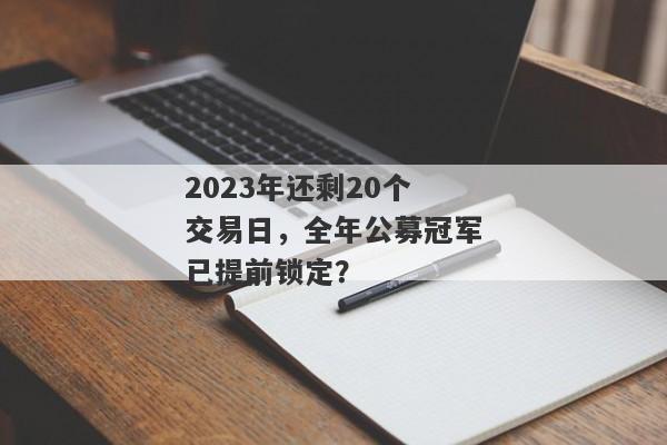 2023年还剩20个交易日，全年公募冠军已提前锁定？