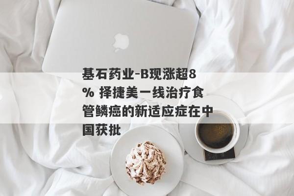 基石药业-B现涨超8% 择捷美一线治疗食管鳞癌的新适应症在中国获批