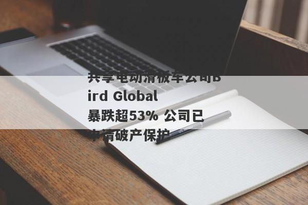 共享电动滑板车公司Bird Global暴跌超53% 公司已申请破产保护