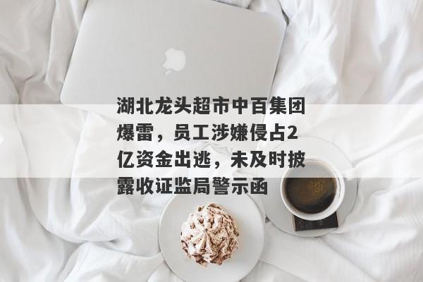 湖北龙头超市中百集团爆雷，员工涉嫌侵占2亿资金出逃，未及时披露收证监局警示函