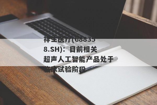 祥生医疗(688358.SH)：目前相关超声人工智能产品处于临床试验阶段