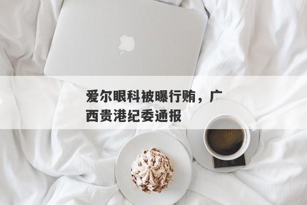 爱尔眼科被曝行贿，广西贵港纪委通报