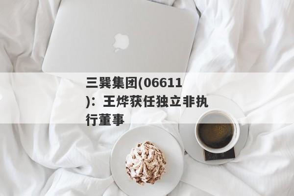 三巽集团(06611)：王烨获任独立非执行董事