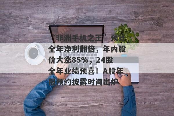 “非洲手机之王”预计全年净利翻倍，年内股价大涨85%，24股全年业绩预喜！A股年报预约披露时间出炉