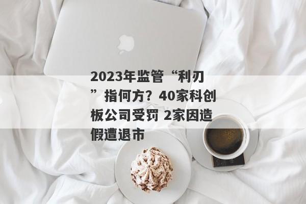 2023年监管“利刃”指何方？40家科创板公司受罚 2家因造假遭退市