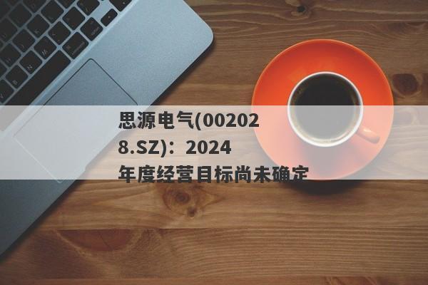 思源电气(002028.SZ)：2024年度经营目标尚未确定