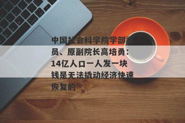 中国社会科学院学部委员、原副院长高培勇：14亿人口一人发一块钱是无法撬动经济快速恢复的