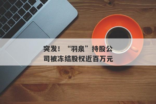 突发！“羽泉”持股公司被冻结股权近百万元