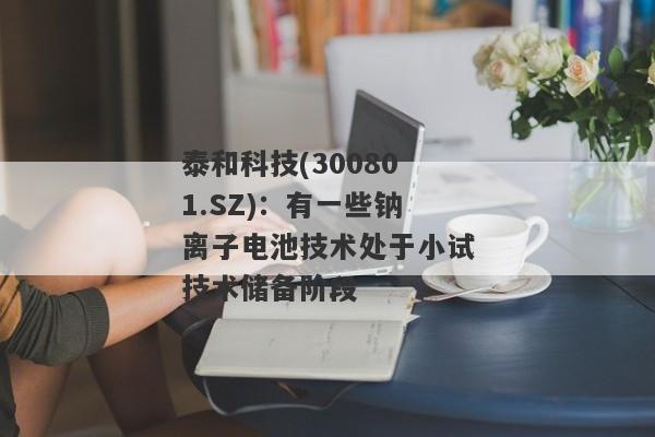 泰和科技(300801.SZ)：有一些钠离子电池技术处于小试技术储备阶段