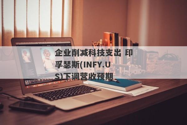 企业削减科技支出 印孚瑟斯(INFY.US)下调营收预期