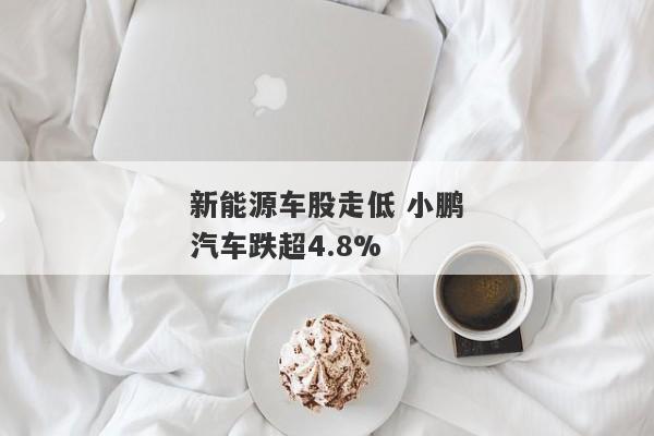 新能源车股走低 小鹏汽车跌超4.8%