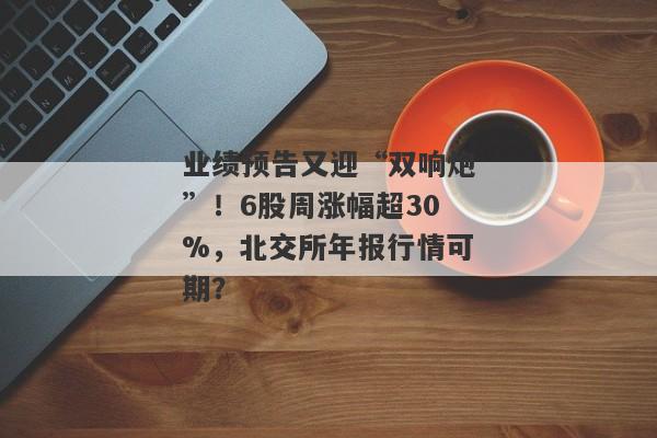 业绩预告又迎“双响炮”！6股周涨幅超30%，北交所年报行情可期？