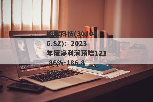 能辉科技(301046.SZ)：2023年度净利润预增121.86%-186.89%