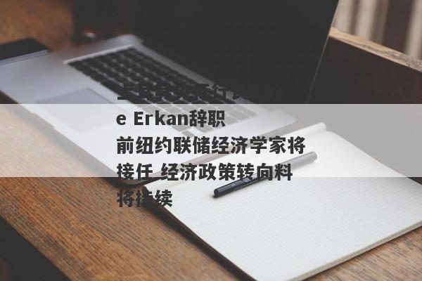 土耳其央行行长Gaye Erkan辞职 前纽约联储经济学家将接任 经济政策转向料将持续